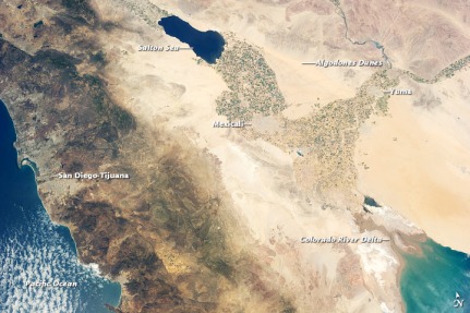 The delta at the Sea of Cortez from outer space. Thank you NASA